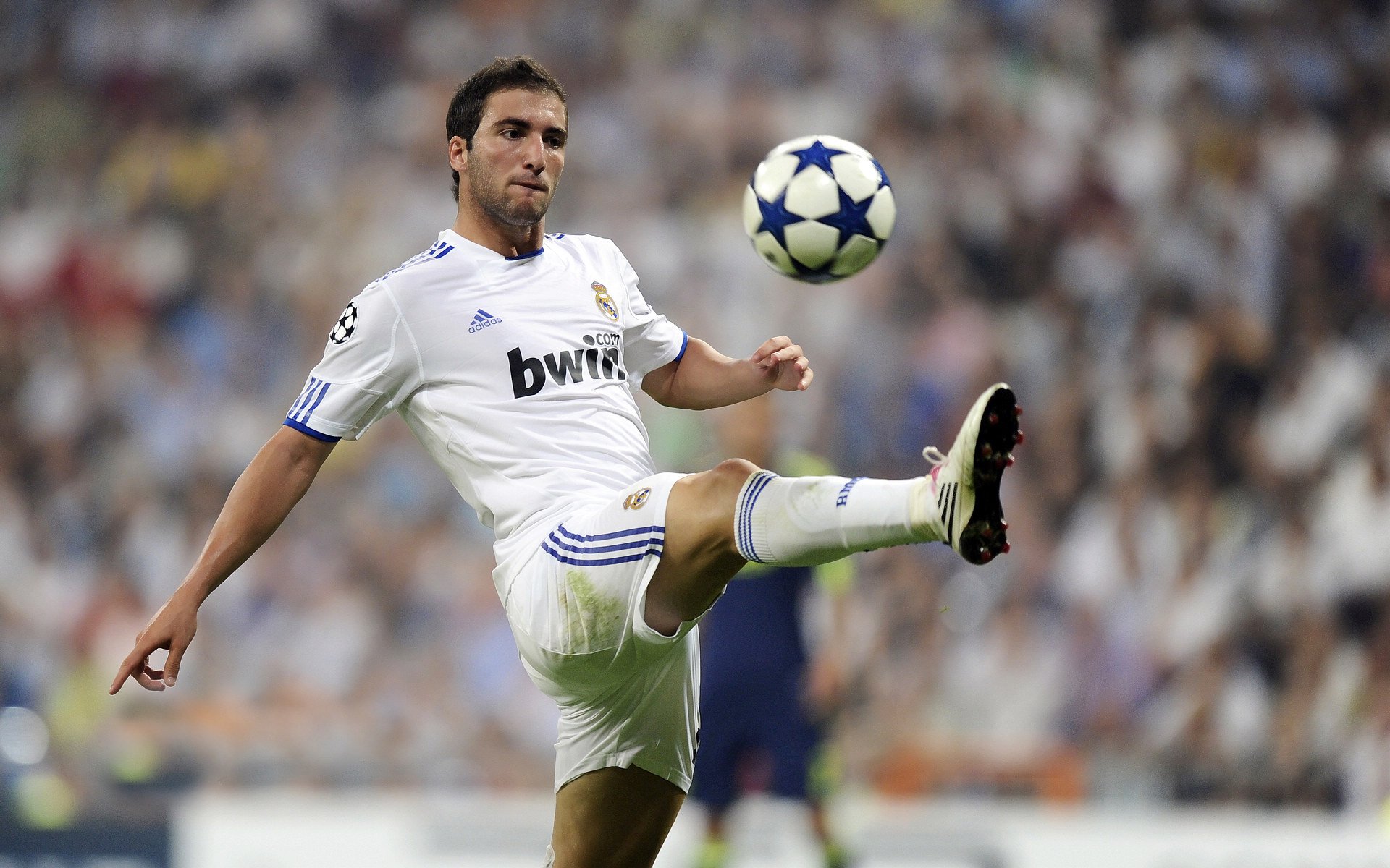 kaiyun体育综合-切尔西18岁天才炸裂全场,主帅狂赞:未来之王,切尔西资料